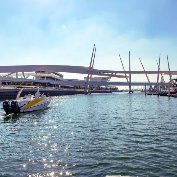 Al Qana Marina